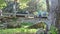 boy jumps on a stone in the park