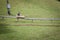 Boy, a kid, going down a slope of Straza Bled with a bobsled on a summer toboggan, in the Julian Alps, It is a major activity