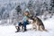 Boy kid sliding with sledge in the winter snow with dog husky. Christmas kids holidays and Happy New Year.