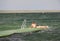 Boy laying down on pier