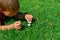 The boy lies on the green grass and looks at small porcini mushrooms