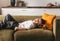 A boy lies on a sofa with a toy plane and dreams. Children`s home time concept image
