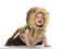 Boy in lion costume