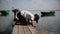 Boy looking for seashells on the pier in the river near the boat