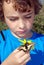 Boy looking at Yellow swallowtail butterfly