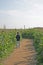 Boy Lost in Maize Maze in Cheshire Corn Field