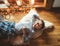 Boy lying on floor on sheepskin and looking in window in cozy home atmosphere. Peaceful moments of cozy home concept image