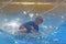 Boy lying in water sphere