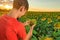 The boy makes an angry face on a sunflower field of sunflowers