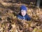 Boy in maple autumn leaves