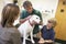 Boy And Mother Taking Dog For Examination By Vet