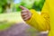 A boy in nature in the Park shows the class with his hand . The Boy Likes. Yellow bright jacket. A good article about the housing