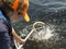 A boy netting a fish