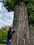The boy next to the huge trunk of a poplar tree.