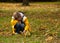 Boy in the park in Autumn, crouching, holding a twig