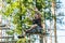 Boy passing cable route in extreme adventure rope park