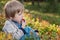 Boy picking bilberries