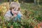 Boy picking bilberries