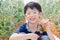 Boy picking tomatoes in farm