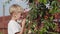 A boy picks cherry berries from a tree and eats them.