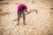 Boy planting little green tree on crack dry ground