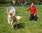 Boy playing with angry golden retriever at park  wearing cone collar  after surgery