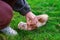 Boy playing with beige ferret laying on the green grass in the garden, park. Home pet care and joy concept. Selective focus.