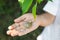 Boy playing with cute snail outdoors, closeup. Child spending time in nature