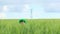 Boy playing with a toy gun in the green grass on the field