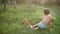 boy plays with Orange Scottish Fold kitten with a branch, on grass in garden