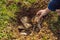 The boy plays recycling. He buries plastic disposable dishes and biodegradable dishes. After a few months, he dug up the