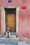 Boy plays smartphone on stairs on old house before door.