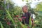 Boy plucks flowers