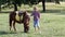 Boy and pony horse