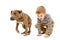 Boy and puppy pit bull playing together