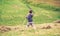 Boy raking dry hay with rake on field