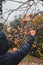 Boy reaching to pick fresh persimmon fruit from an autumn tree