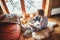 Boy reading book on the floor on sheepskin in cozy home atmosphere. Peaceful moments of cozy home concept image