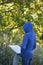 Boy Reading Nature Sign at Nature Preserve