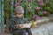 a boy reads a book by the lilac fence.