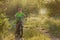 Boy rides a bike along a path surrounded by greenery, beautiful sunlight