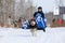 The boy rides on a team of Siberian husky on holiday in Novosibirsk