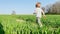 Boy run in the fresh spring field view from behind