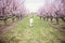 Boy running in Peach orchard