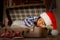 Boy\'s Christmas nap inside suitcase.