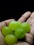 Boy& x27;s hand holding grapes, fruits, closeup