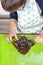 Boy`s hands squeezing shapes from metal molds from a cake placed on a green silicone pastry board. Culinary activities for childre