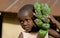 The boy\'s portrait with a linking of bananas who goes to the market them to sell.