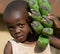 The boy\'s portrait with a linking of bananas who goes to the market them to sell.