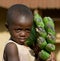 The boy\'s portrait with a linking of bananas who goes to the market them to sell.